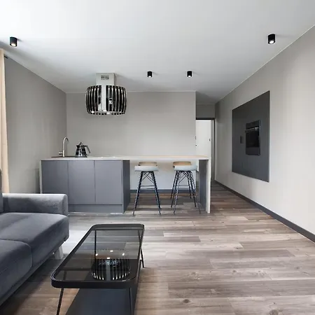 Apartment Antracytowy *