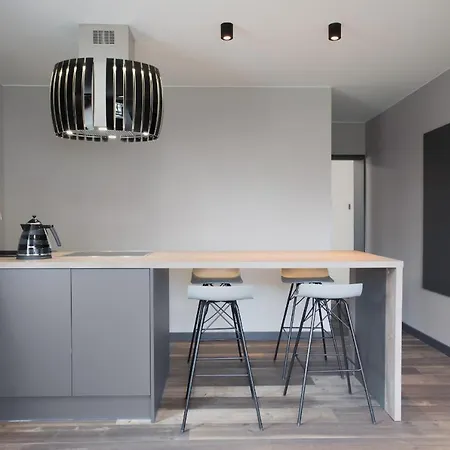 Apartment Antracytowy