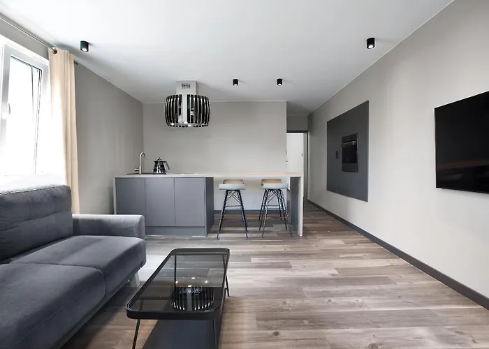 Apartament Antracytowy *